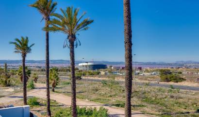 New Build - Villa - Torrevieja - Parque Acuático - Sector 25
