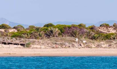 Nieuwbouw projecten - Appartment - Guardamar del Segura - Pueblo