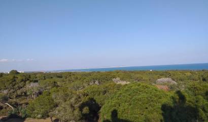 Nieuwbouw projecten - Appartment - Guardamar del Segura - Pueblo