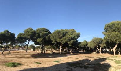 Nieuwbouw projecten - Appartment - Santiago De La Ribera