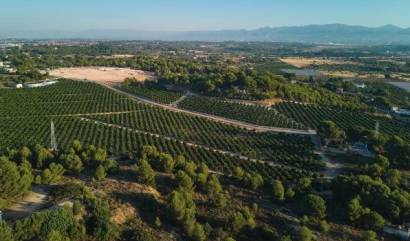 Nieuwbouw projecten - Herenhuis - Godella - Campolivar