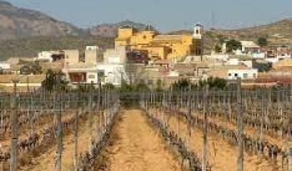 Nieuwbouw projecten -  - Hondón de las Nieves - El Salero