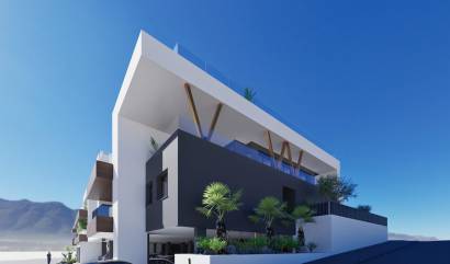Nieuwbouw projecten - Penthouse - Benijofar