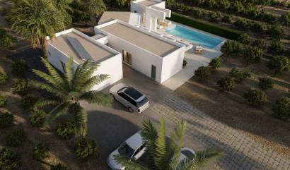 Nieuwbouw projecten - Villa - Benejúzar - alta