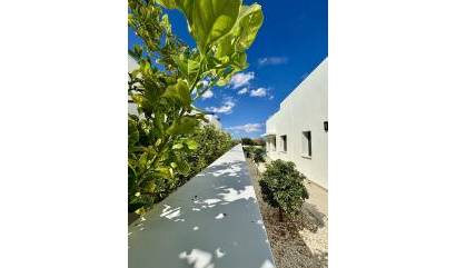 Nieuwbouw projecten - Villa - Benijofar - Pueblo