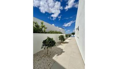 Nieuwbouw projecten - Villa - Benijofar - Pueblo