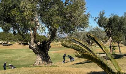 Nieuwbouw projecten - Villa - Los Montesinos