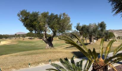 Nieuwbouw projecten - Villa - Los Montesinos