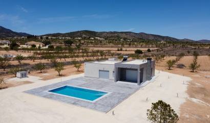 Nieuwbouw projecten - Villa - Pinoso - Camino Del Prado