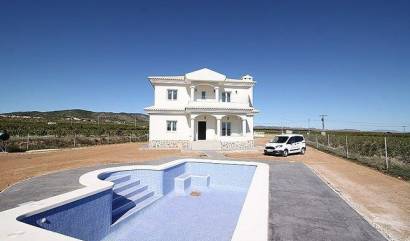 Nieuwbouw projecten - Villa - Pinoso - Camino Del Prado