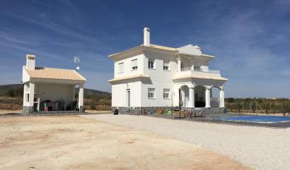 Nieuwbouw projecten - Villa - Pinoso - Camino Del Prado