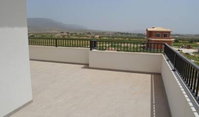 Nieuwbouw projecten - Villa - Pinoso - Camino Del Prado