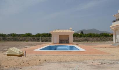 Nieuwbouw projecten - Villa - Pinoso - Camino Del Prado