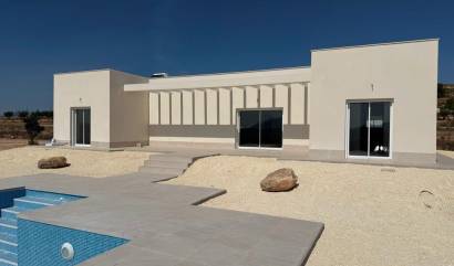 Nieuwbouw projecten - Villa - Pinoso - Camino Del Prado