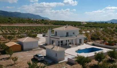 Nieuwbouw projecten - Villa - Pinoso - Camino Del Prado