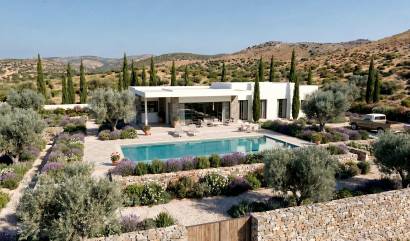 Nieuwbouw projecten - Villa - Pinoso - Casas Pastor