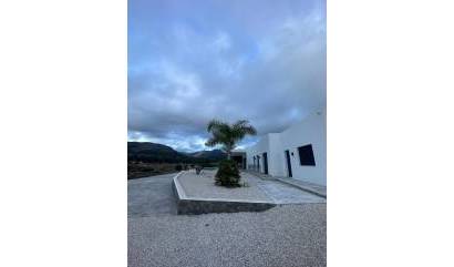 Nieuwbouw projecten - Villa - Pinoso - Casas Pastor