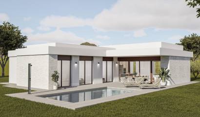 Nieuwbouw projecten - Villa - Pinoso - Lel