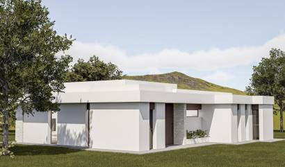 Nieuwbouw projecten - Villa - Pinoso - Lel