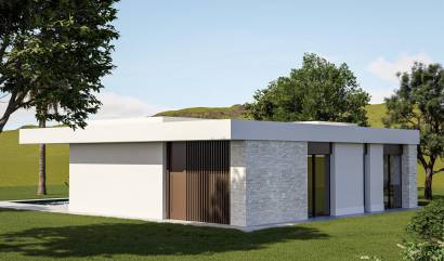 Nieuwbouw projecten - Villa - Pinoso - Lel