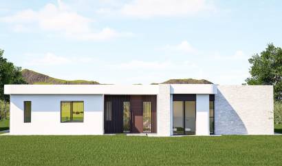 Nieuwbouw projecten - Villa - Pinoso - Lel