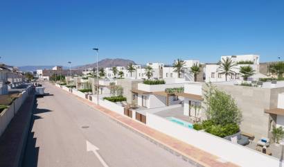 Nieuwbouw projecten - Villa - Puerto De Mazarron - Caleñares