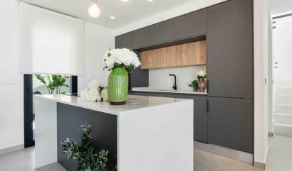 Nieuwbouw projecten - Villa - Rojales - Benimar