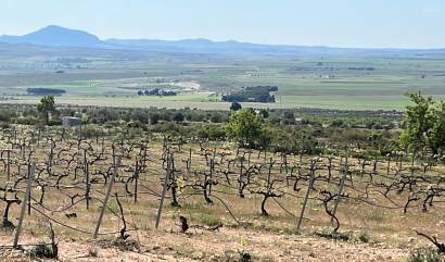 Nieuwbouw projecten - Villa - Yecla
