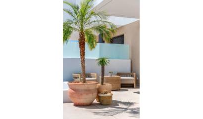 Nouvelle construction -  - Dolores - Sector 3