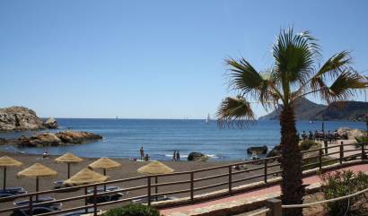 Nouvelle construction - Maison de ville - La Union - centro