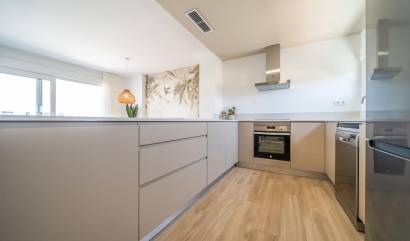 Nouvelle construction - Maison de ville - Orihuela