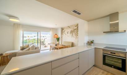 Nouvelle construction - Maison de ville - Orihuela