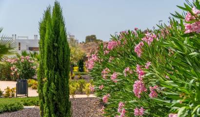 Nouvelle construction -  - Orihuela - Vistabella Golf