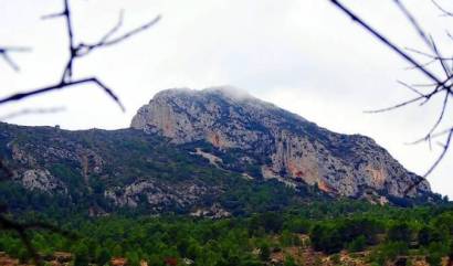 Nouvelle construction - Villa - La Romana - Batistes