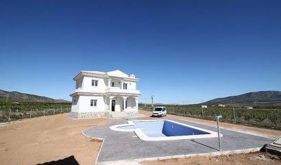 Nouvelle construction - Villa - Pinoso - Camino Del Prado