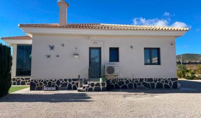 Nouvelle construction - Villa - Pinoso - Camino Del Prado