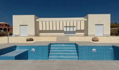 Nouvelle construction - Villa - Pinoso - Camino Del Prado