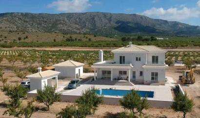 Nouvelle construction - Villa - Pinoso - Camino Del Prado