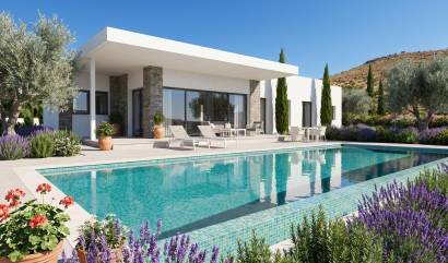 Nouvelle construction - Villa - Pinoso - Casas Pastor