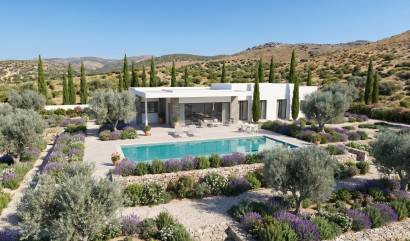Nouvelle construction - Villa - Pinoso - Casas Pastor