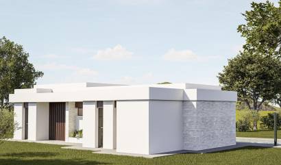 Nouvelle construction - Villa - Pinoso - Lel