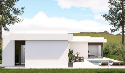 Nouvelle construction - Villa - Pinoso - Lel
