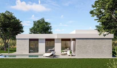 Nouvelle construction - Villa - Pinoso - Lel