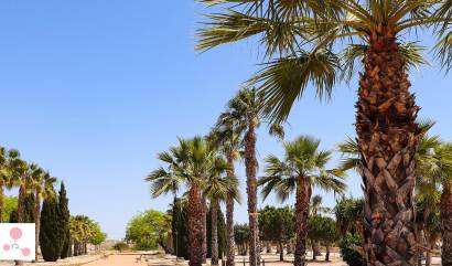 Nouvelle construction - Villa - San Fulgencio - La Escuera