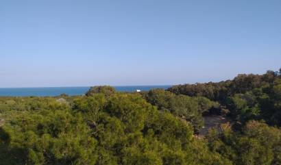 Nueva construcción  - Apartment - Guardamar del Segura - Pueblo