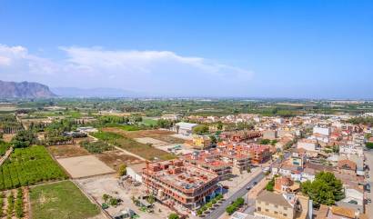 Nueva construcción  - Apartment - Jacarilla - Comunidad Valenciana