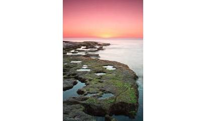 Nueva construcción  - Bungalow - Torrevieja - Altos del Sol