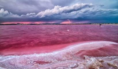 Nueva construcción  - Bungalow - Torrevieja - Altos del Sol