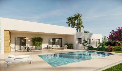 Nueva construcción  - Villa - Aspe - Poligono 19