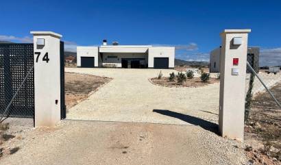 Nueva construcción  - Villa - Pinoso - Camino Del Prado